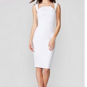 Bailey 44 Lal Mirch Dress